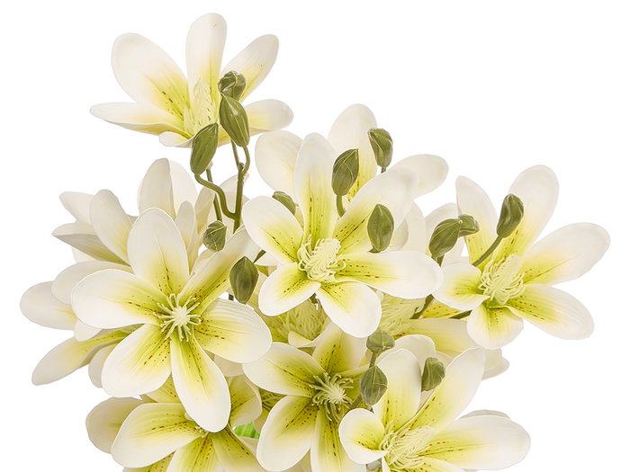 Ibergarden Vara 5 Branches 20 Fleurs Blanche 55cm Plastique (Set de 12)