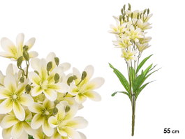 Ibergarden Vara 5 Branches 20 Fleurs Blanche 55cm Plastique (Set de 12)