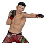UFC Posed statuette Brandon Moreno 16 cm