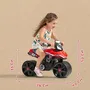 FALK Draisienne moto porteur Racing Team pour enfant 2-5 ans - Large roues stables - Guidon directionnel - 40% plastique recyclé - Fabriqué en France
