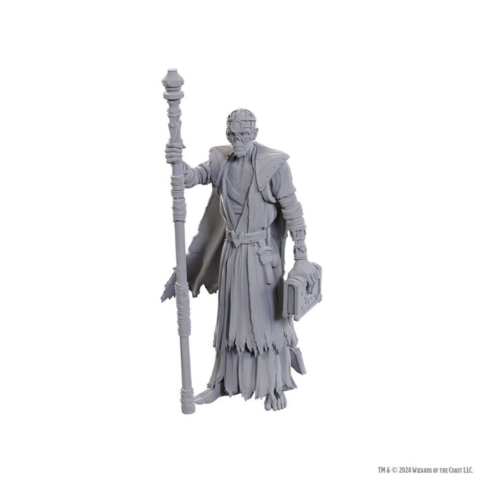 D&D Nolzur's Marvelous Miniatures miniature à peindre Volo & Withers