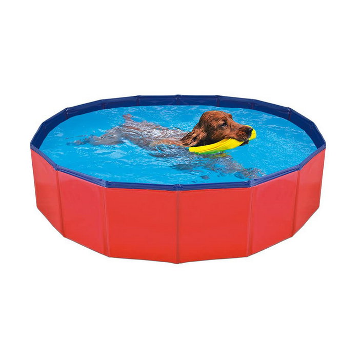 Piscine Démontable Nayeco 120 x 30 cm Chien Piscine Démontable Nayeco 120 x 30 cm Chien