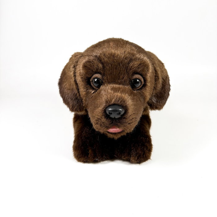 DEQUBE BOCALAN Peluche Labrador Chocolate Tumbado 25 cm DEQUBE BOCALAN Peluche Labrador Chocolate Tumbado 25 cm