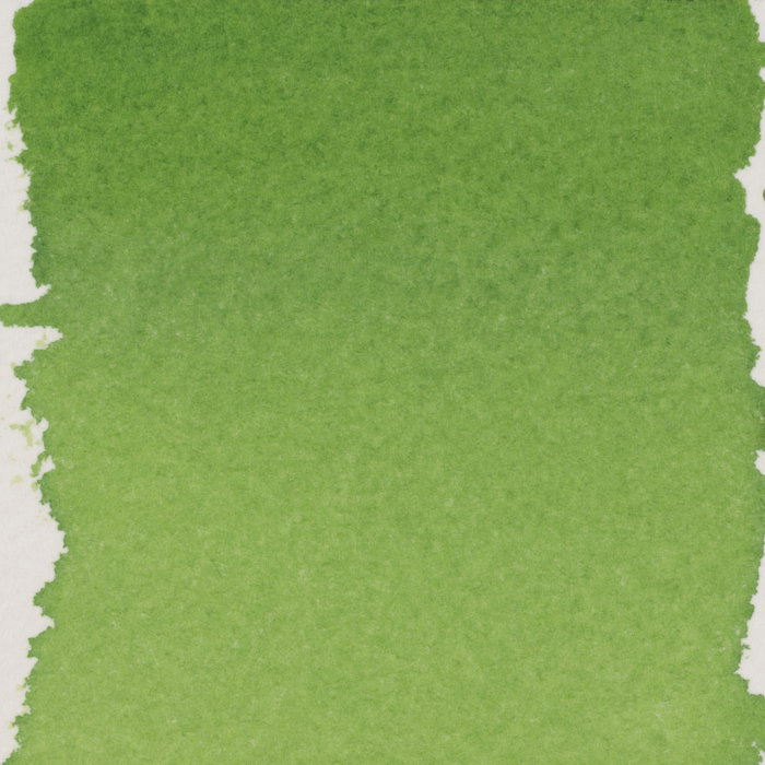 Talens | Pantone Encre pour marqueur 30 ml 375 Talens | Pantone Encre pour marqueur 30 ml 375