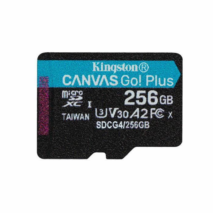 Carte Mémoire Micro SD avec Adaptateur Kingston SDCG4/256GB 256 GB