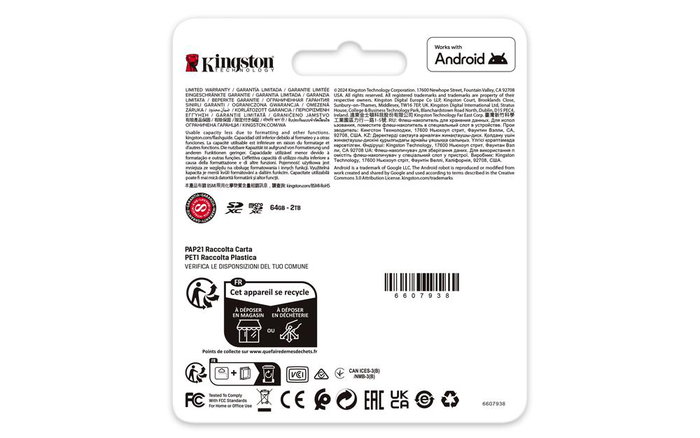 Kingston Canvas Go! Plus 256 Go Carte Mémoire MicroSDXC UHS-I U3 V30 A2 - 200 Mo/s Lecture, 160 Mo/s Écriture