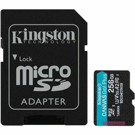 Carte Mémoire Micro SD avec Adaptateur Kingston SDCG4/256GB 256 GB