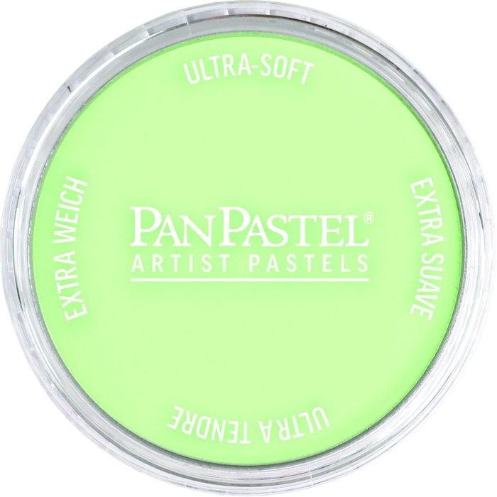 Panpastel 690.8 Vert jaunâtre Tinte Panpastel 690.8 Vert jaunâtre Tinte