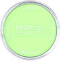 Panpastel 690.8 Vert jaunâtre Tinte