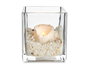 GIFTDECOR Porte-bougies en Cristal Transparent 12x12