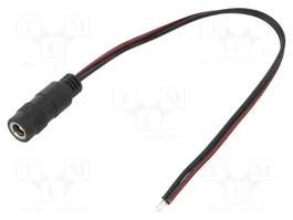 SUNNY Câble d'alimentation DC plat 2x0,5mm2, DC 5,5/2,5 socle droit, noir, 0,2m