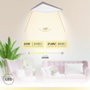GSC Evolution Panneau de surface LED Kisongo 60x30cm 24W 4200K Níquel