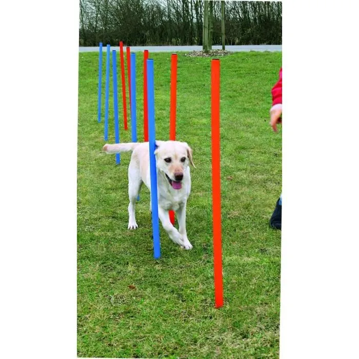 TRIXIE - 12 Piquets de slalom pour parcours d'agilité chien, 115 cm, plastique bleu/orange, avec sac de transport et livret d'astuces