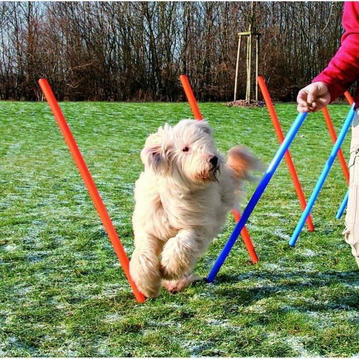 Trixie Slalom Agility 12 pièces Bleu/Orange Trixie Slalom Agility 12 pièces Bleu/Orange