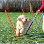 Trixie Slalom Agility 12 pièces Bleu/Orange