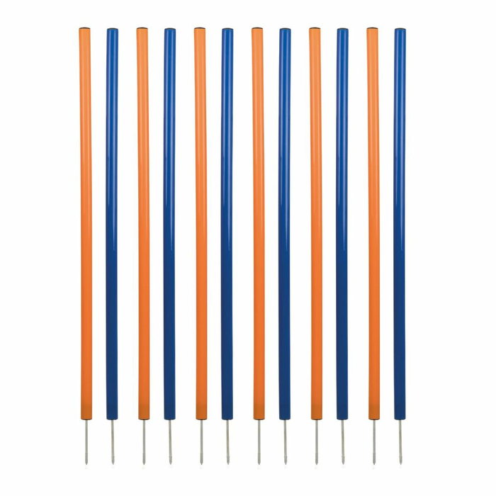 Trixie Slalom Agility 12 pièces Bleu/Orange Trixie Slalom Agility 12 pièces Bleu/Orange