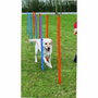 Trixie Slalom Agility 12 pièces Bleu/Orange