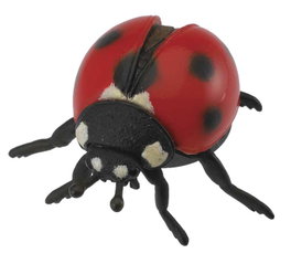 COLLECTA Mariquita - M