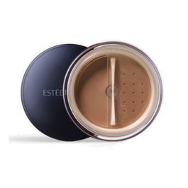 Estee Lauder - Poudre de maquillage Perfecting Sans Huile pour un contrôle de la brillance - Teint Profond - 10 g