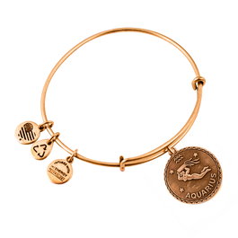Alex And Ani Bracelet Aquarium Doré