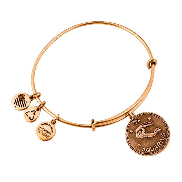 Alex And Ani Bracelet Aquarium Doré