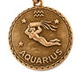 Alex And Ani Bracelet Aquarium Doré