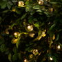 Outfit Guirlande LED solaire 10 lumières blanc chaud 4 m