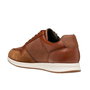 Chaussures de Sport pour Homme Geox U Avery A Marron