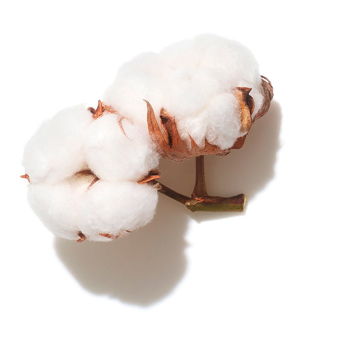 Wella Professionals INVIGO VOLUME BOOST Shampooing Cheveux sans volume 250 ml