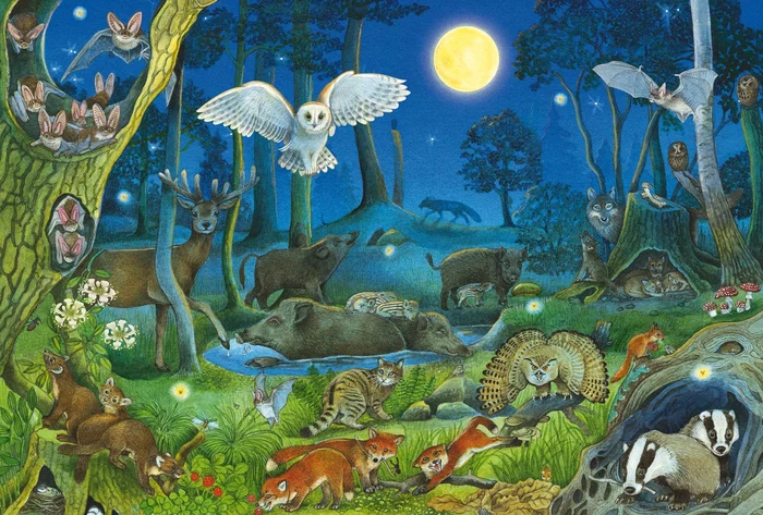 Schmidt Spiele Puzzle Animaux dans la forêt nocturne - 100 pièces - Dès 6 ans