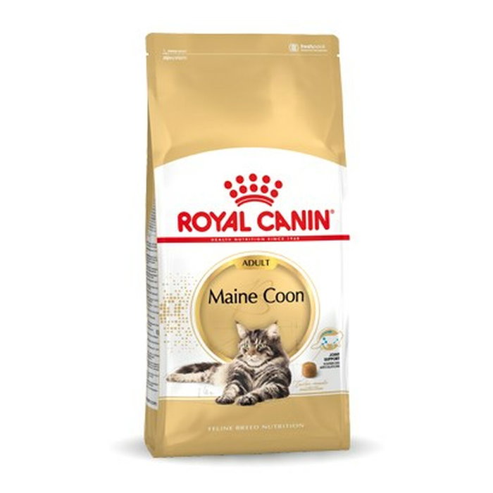 Aliments pour chat Royal Canin Maine Coon Adult Adulte Poulet Oiseaux 10 kg Aliments pour chat Royal Canin Maine Coon Adult Adulte Poulet Oiseaux 10 kg