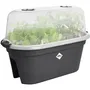 ELHO Set de Culture Balconniere GB, Serre pour Balcon, Bac Potager 55 x 28.5 x 25 cm, Noir, 100% Recyclé et Recyclable, Idéal Légumes et Herbes