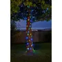 Smart Garden Guirlande Solaire Extérieur Multicolore 100 LEDs 11.9m, Rechargeable et Automatique, Pour Jardin et Pergola