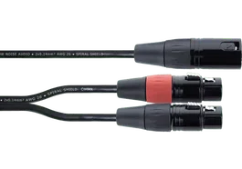 CORDIAL Câble en Y XLR mâle vers 2 XLR femelle 30 cm