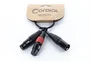 CORDIAL Câble en Y XLR mâle vers 2 XLR femelle 30 cm