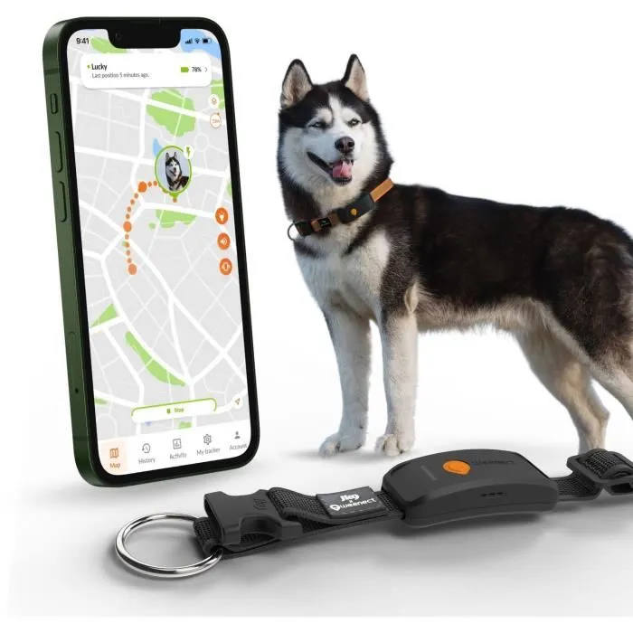 Weenect - Collier GPS WEENECT Chien XT pour chien - Suivi GPS temps réel, étanche, antenne XL, compatibilité collier Julius-K9, lampe LED, nécessite abonnement - Noir Weenect - Collier GPS WEENECT Chien XT pour chien - Suivi GPS temps réel, étanche, antenne XL, compatibilité collier Julius-K9, lampe LED, nécessite abonnement - Noir