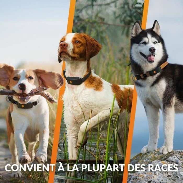 Weenect Collier GPS Chien XT Noir