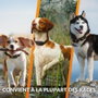 Weenect Collier GPS Chien XT Noir