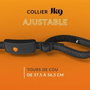 Weenect Collier GPS Chien XT Noir