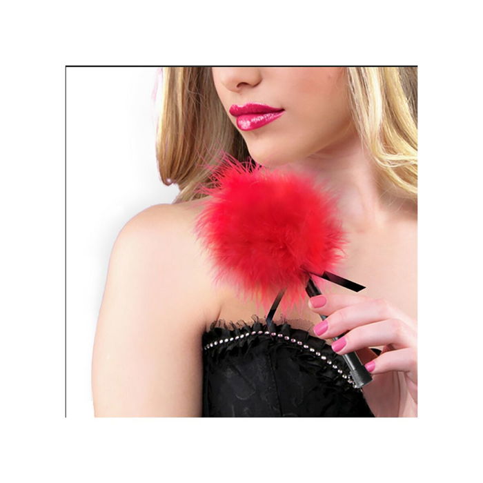 Chatouilleur à plumes Secret Play Chatouilleur à plumes Secret Play