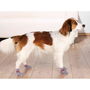 Chaussettes Trixie Gris M/L Chien