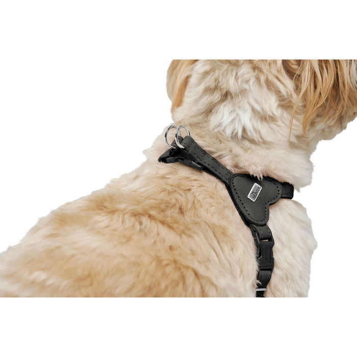 Harnais pour Chien Hunter SOHO MINI Noir XS/S