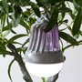 Je cherche une Idee Lampe-Ampoule Anti-Insectes UV