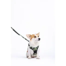 M Pets Harnais HIKING - Taille M, camouflage, tissu rembourré, attache sécurité et poignée, laisse dos/avant pour chien