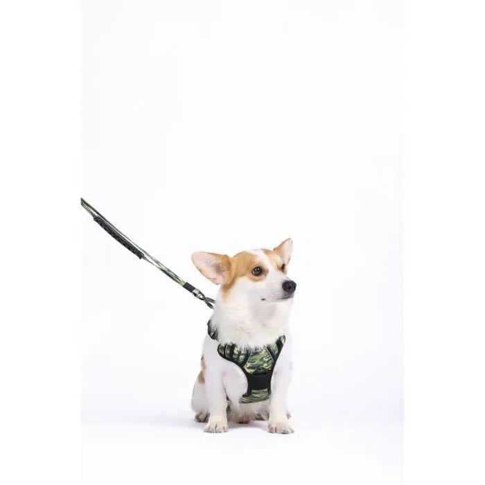 M Pets Harnais HIKING - Taille M, camouflage, tissu rembourré, attache sécurité et poignée, laisse dos/avant pour chien M Pets Harnais HIKING - Taille M, camouflage, tissu rembourré, attache sécurité et poignée, laisse dos/avant pour chien