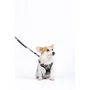 M Pets Harnais HIKING - Taille M, camouflage, tissu rembourré, attache sécurité et poignée, laisse dos/avant pour chien
