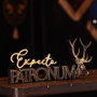 WIDDOP & CO Panneau en bois Patronum Harry Potter - Finition noire avec effet métallique