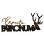 WIDDOP & CO Panneau en bois Patronum Harry Potter - Finition noire avec effet métallique