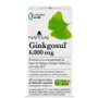 Natysal Ginkgosul 60 comprimés