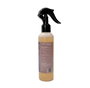 Occ Motorsport Nettoyant Insectes 200 ml